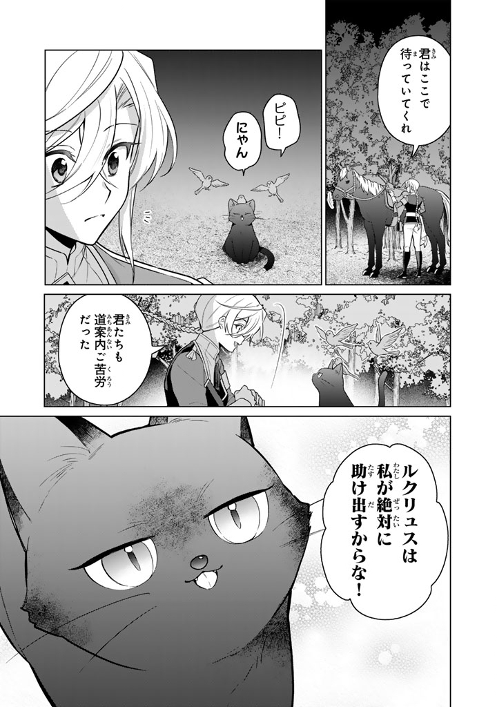 Ganseki Otome to Koishi-chan - Chapter 14.1 - Page 11
