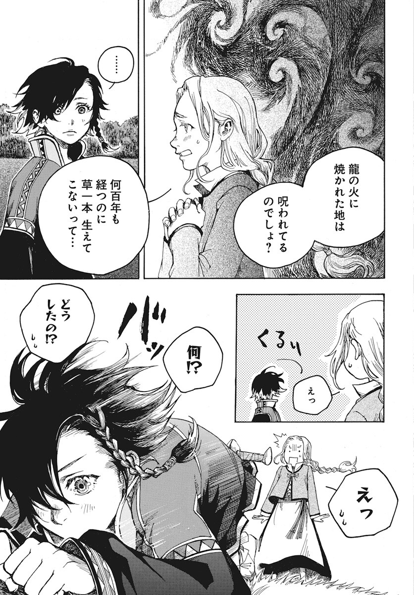 Hi no Ryuu no Kuni - Chapter 1 - Page 24