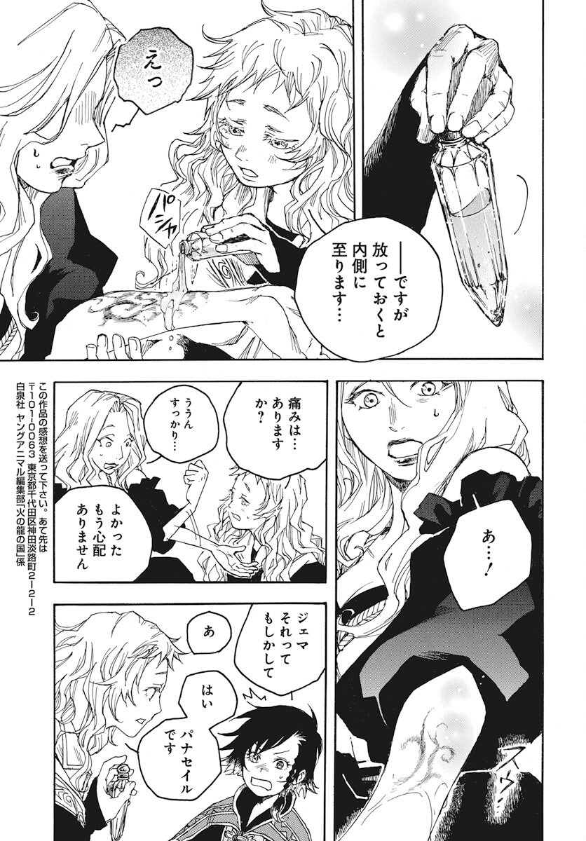 Hi no Ryuu no Kuni - Chapter 3 - Page 35