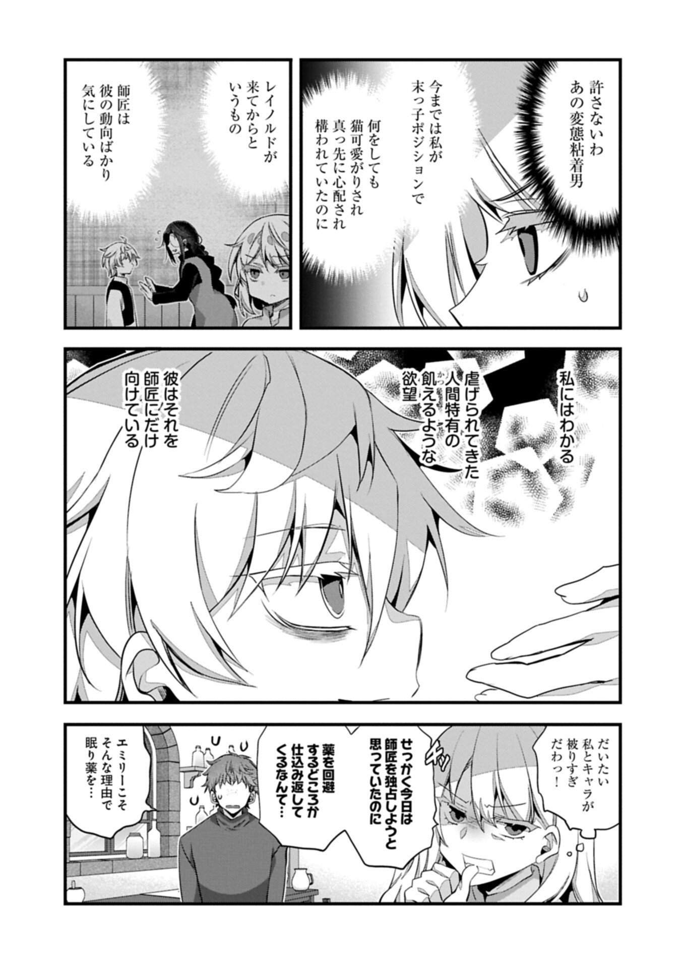 Higashi no Majo no Atoshimatsu - Chapter 7.1 - Page 11