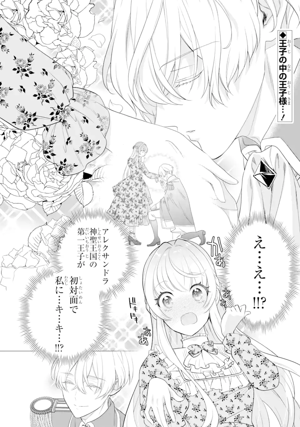 Hikikomori Ouji no Karei naru Yonaoshi - Chapter 4.1 - Page 2