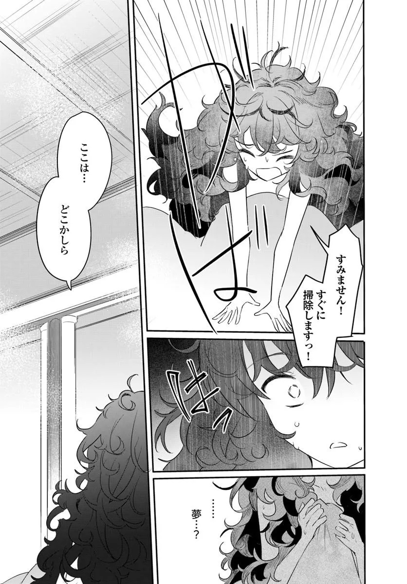 Hikikomori Reijou nano ni, Koori no Hnekyouhaku no Hanayome (Kikan Gentei) ni Erabarete shimatta - Chapter 2 - Page 29