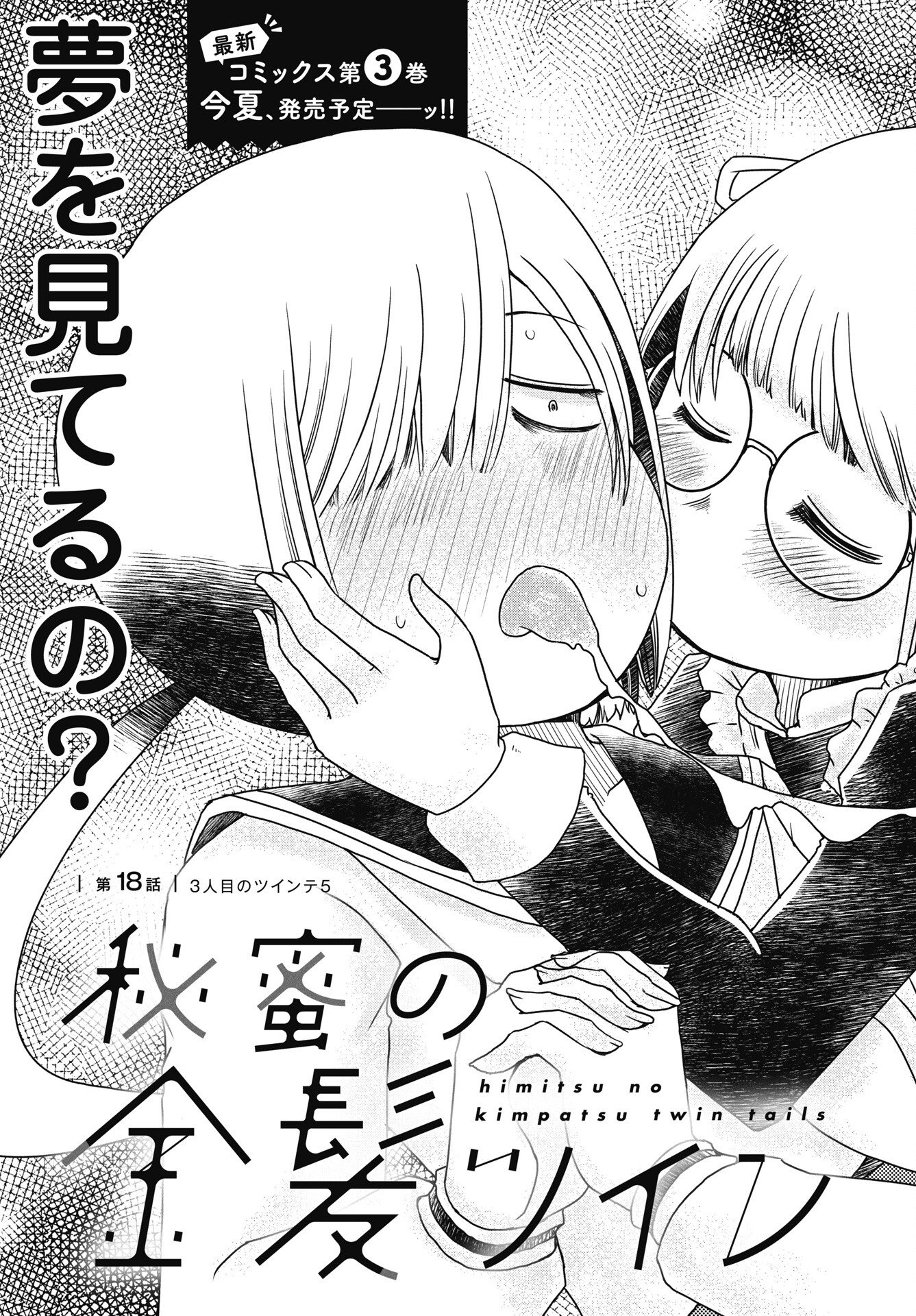 Himitsu no Kinpatsu Twintails - Chapter 18 - Page 3