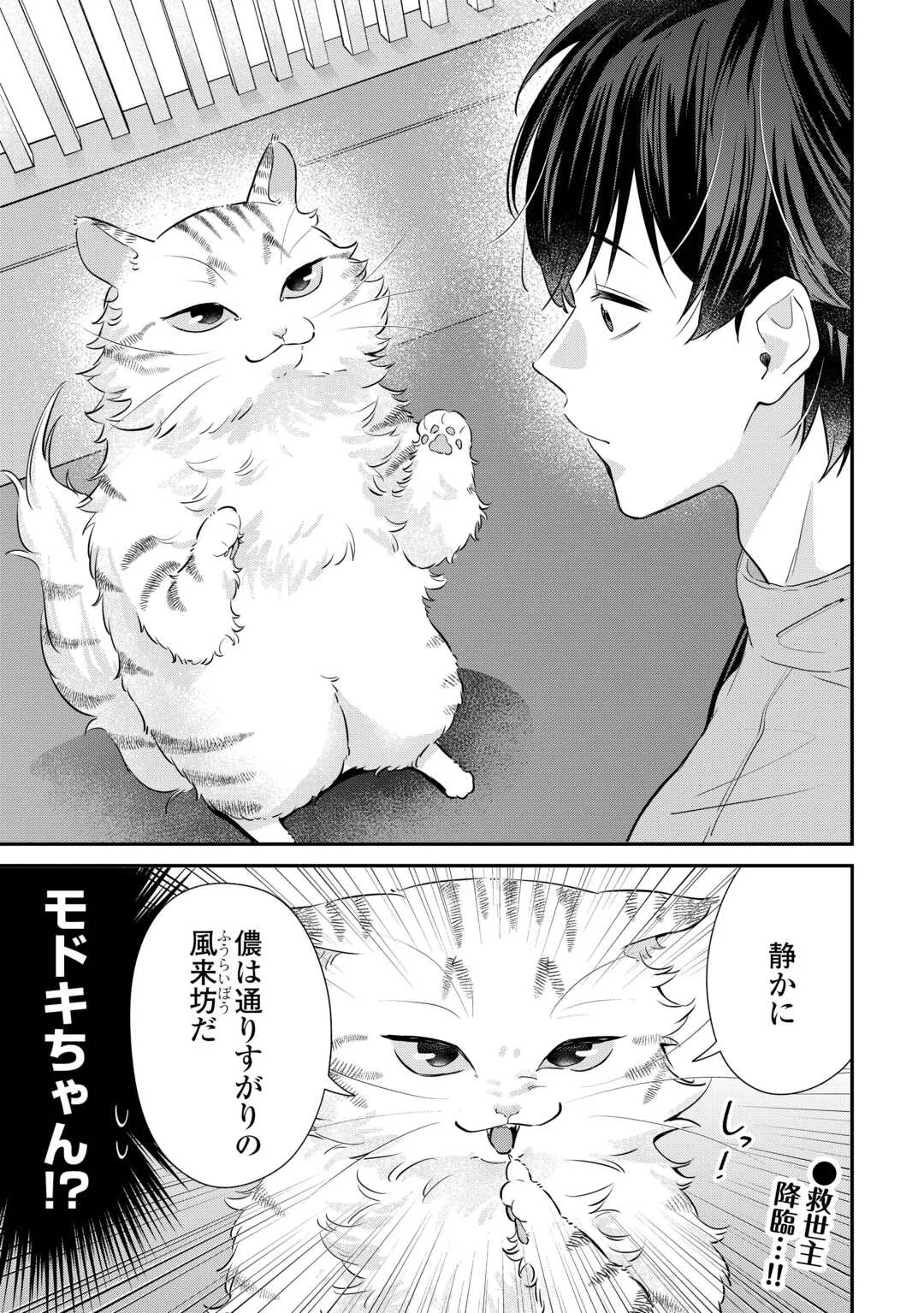 Hirotta no ga Hontou ni Neko ka wa Utagawashii - Chapter 5 - Page 17