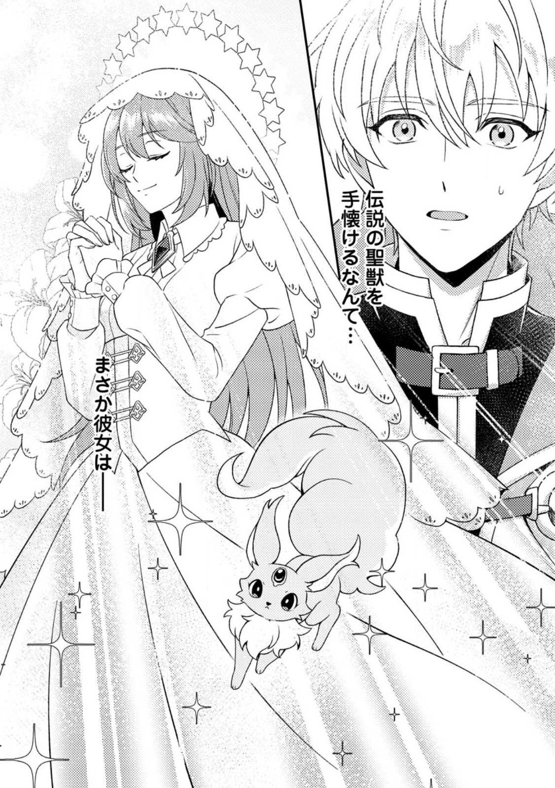Houseki no Seijo - Chapter 1 - Page 30