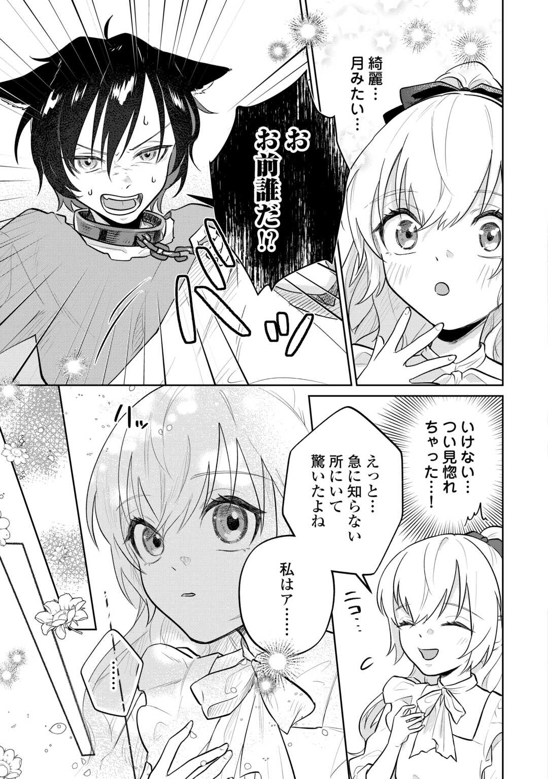 Isekai Tensei Reijou, Shuppon Suru - Chapter 9 - Page 17