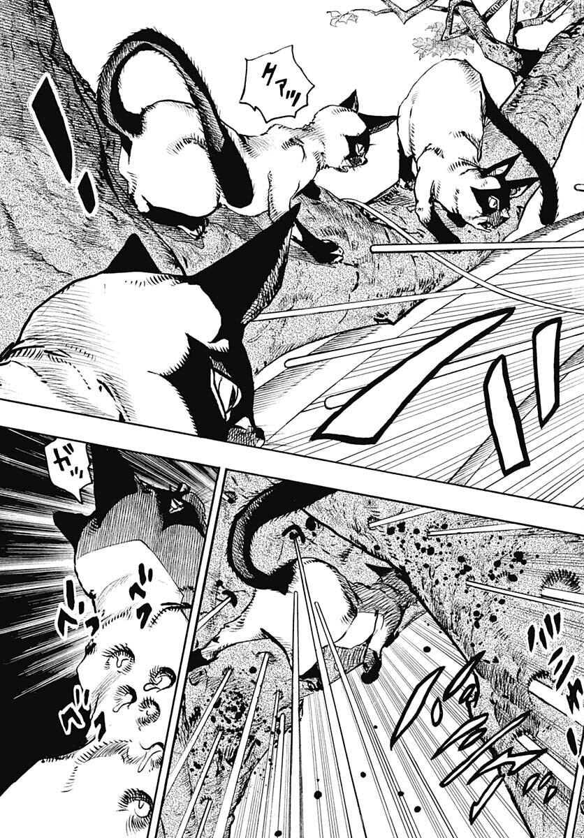 JoJo no Kimyou na Bouken Part 9: The JOJOLands - Chapter 7 - Page 24