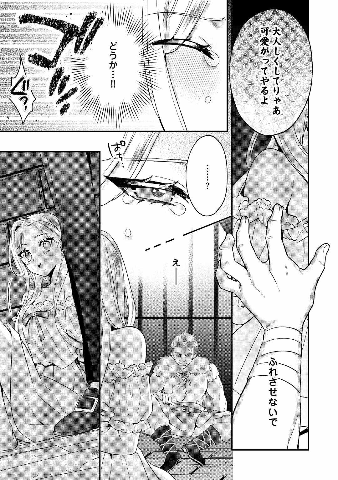 Juukon Nante Okotowari! Zettai ni Futago no Ouji wo Miwakete misemasu! - Chapter 14 - Page 17