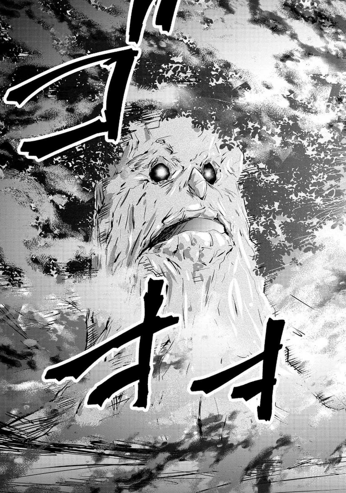 Kamigami no Kennou wo Ayatsurishi Mono - Chapter 13 - Page 17