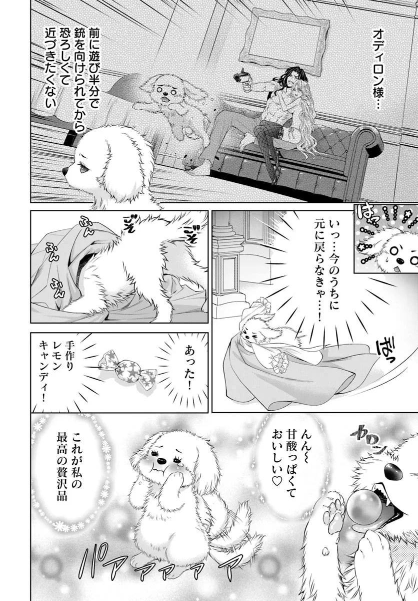 Kokuou Heika, Watashi wo Katte Kudasai! - Chapter 1 - Page 13