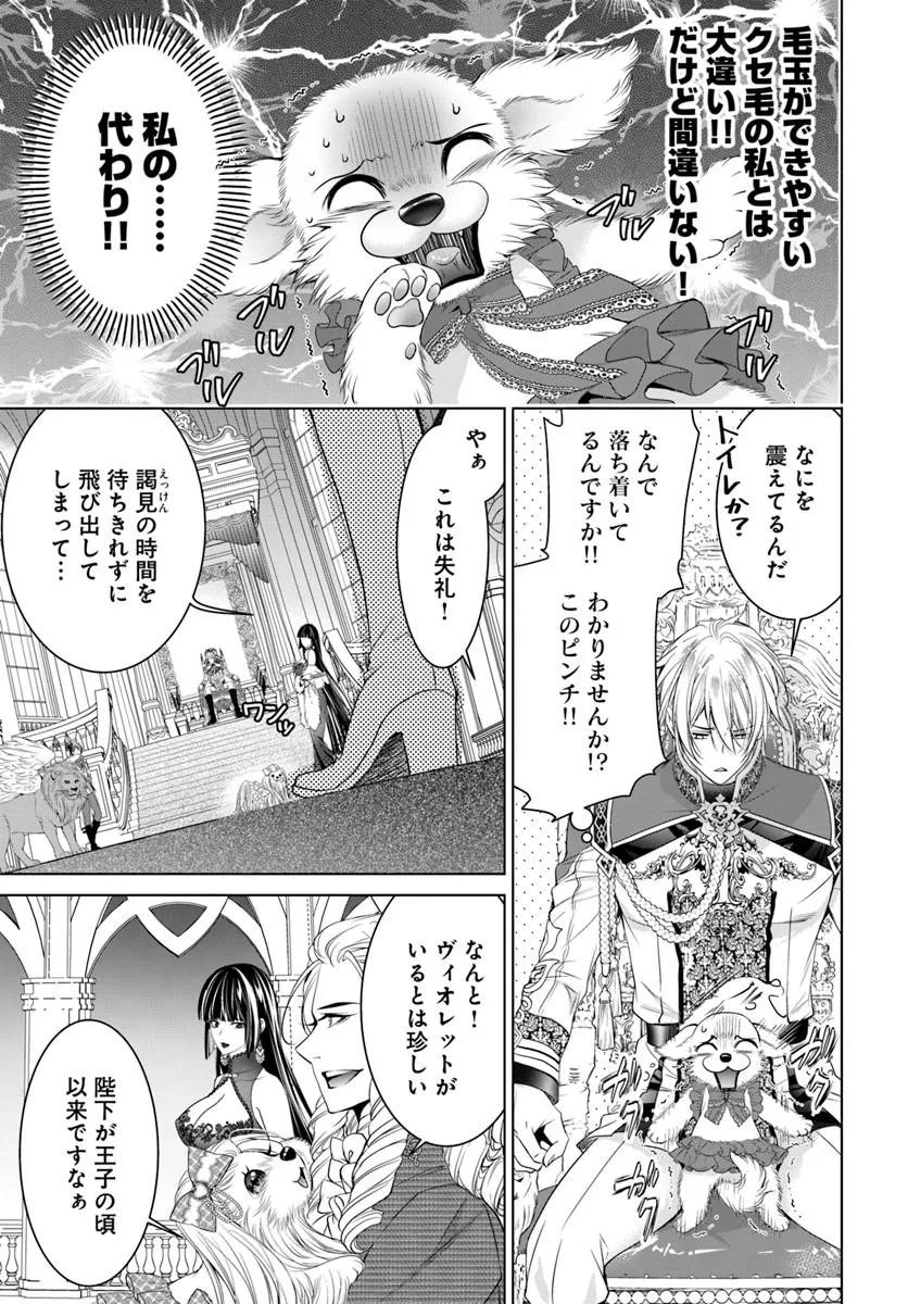 Kokuou Heika, Watashi wo Katte Kudasai! - Chapter 10.2 - Page 2