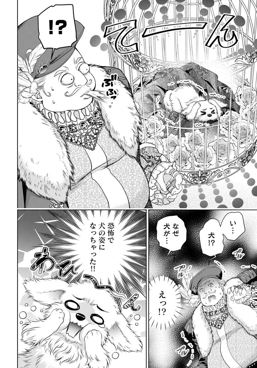 Kokuou Heika, Watashi wo Katte Kudasai! - Chapter 2 - Page 10