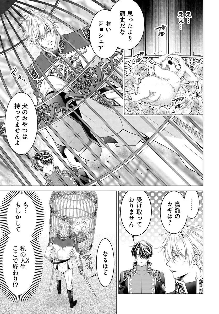 Kokuou Heika, Watashi wo Katte Kudasai! - Chapter 2 - Page 17