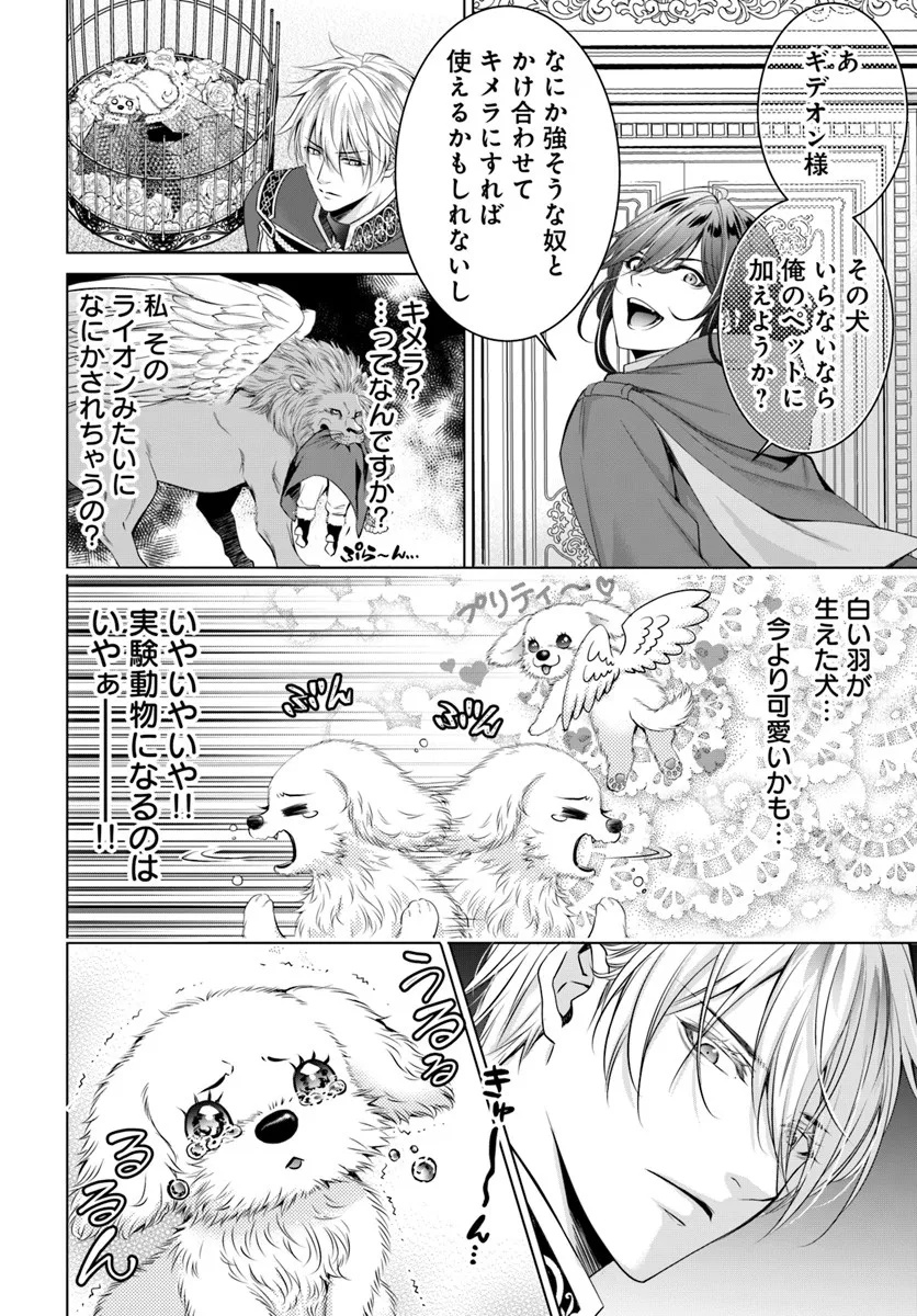 Kokuou Heika, Watashi wo Katte Kudasai! - Chapter 2 - Page 20