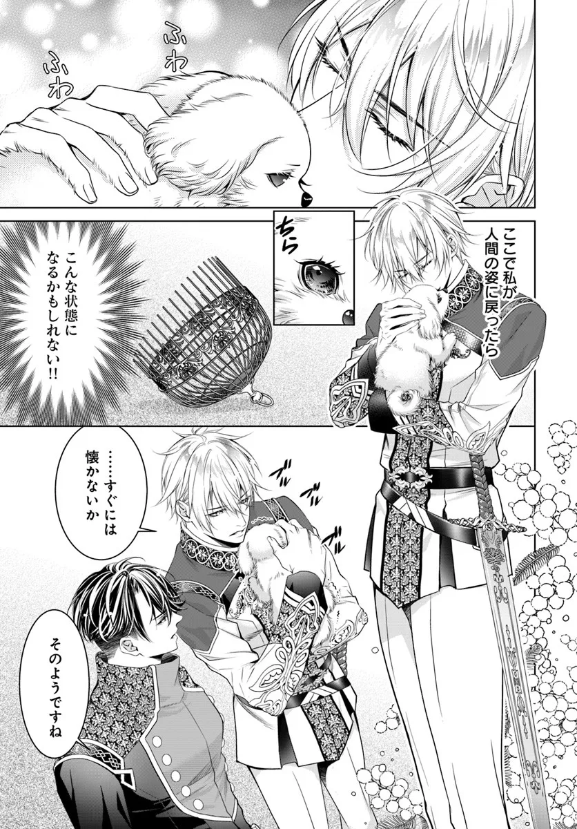 Kokuou Heika, Watashi wo Katte Kudasai! - Chapter 3 - Page 1