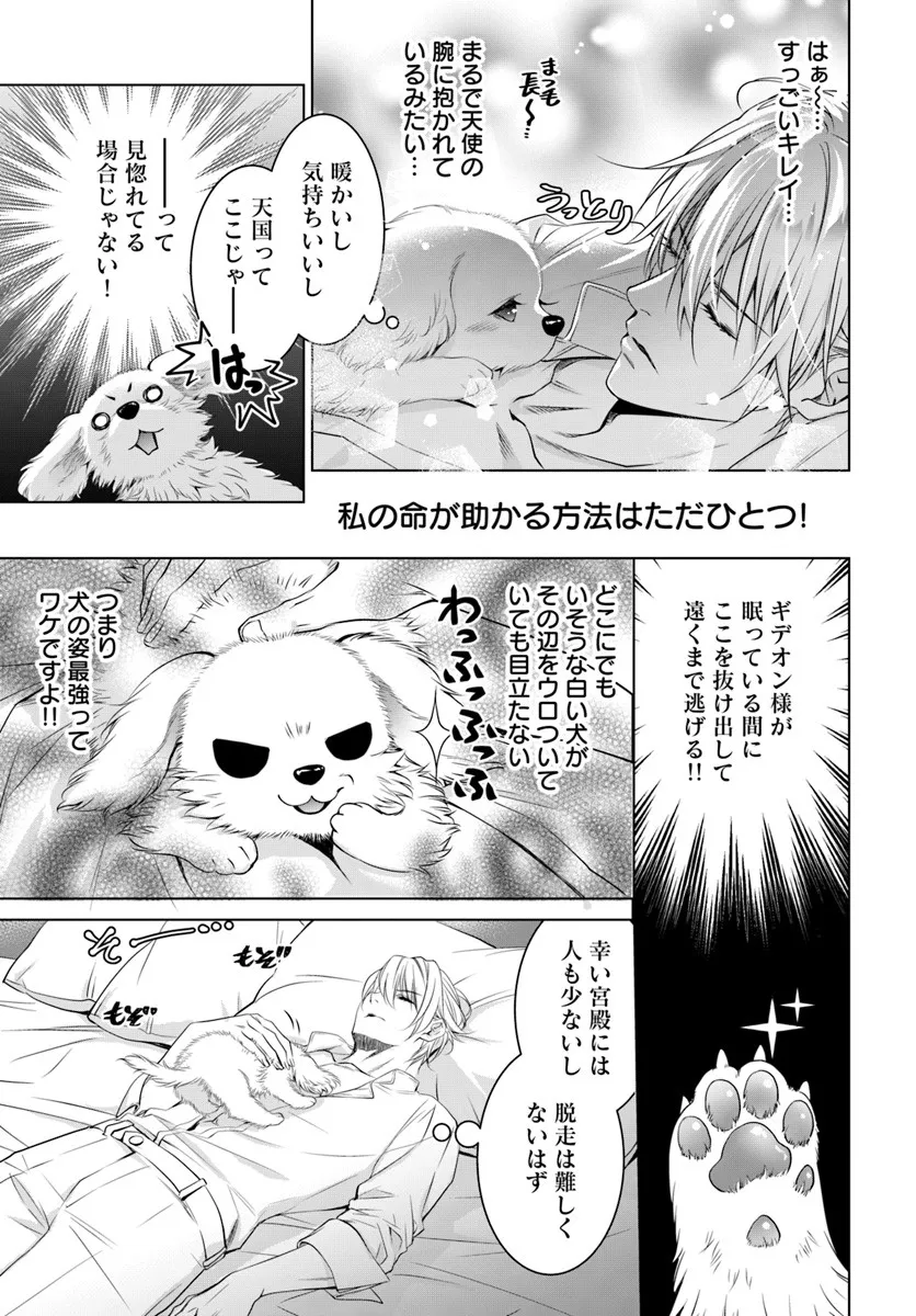 Kokuou Heika, Watashi wo Katte Kudasai! - Chapter 3 - Page 11