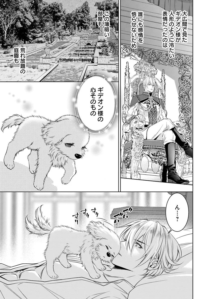 Kokuou Heika, Watashi wo Katte Kudasai! - Chapter 3 - Page 15