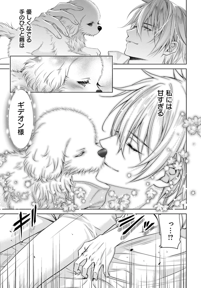 Kokuou Heika, Watashi wo Katte Kudasai! - Chapter 3 - Page 19