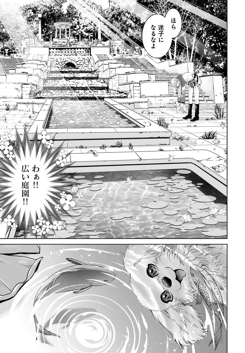 Kokuou Heika, Watashi wo Katte Kudasai! - Chapter 3 - Page 3