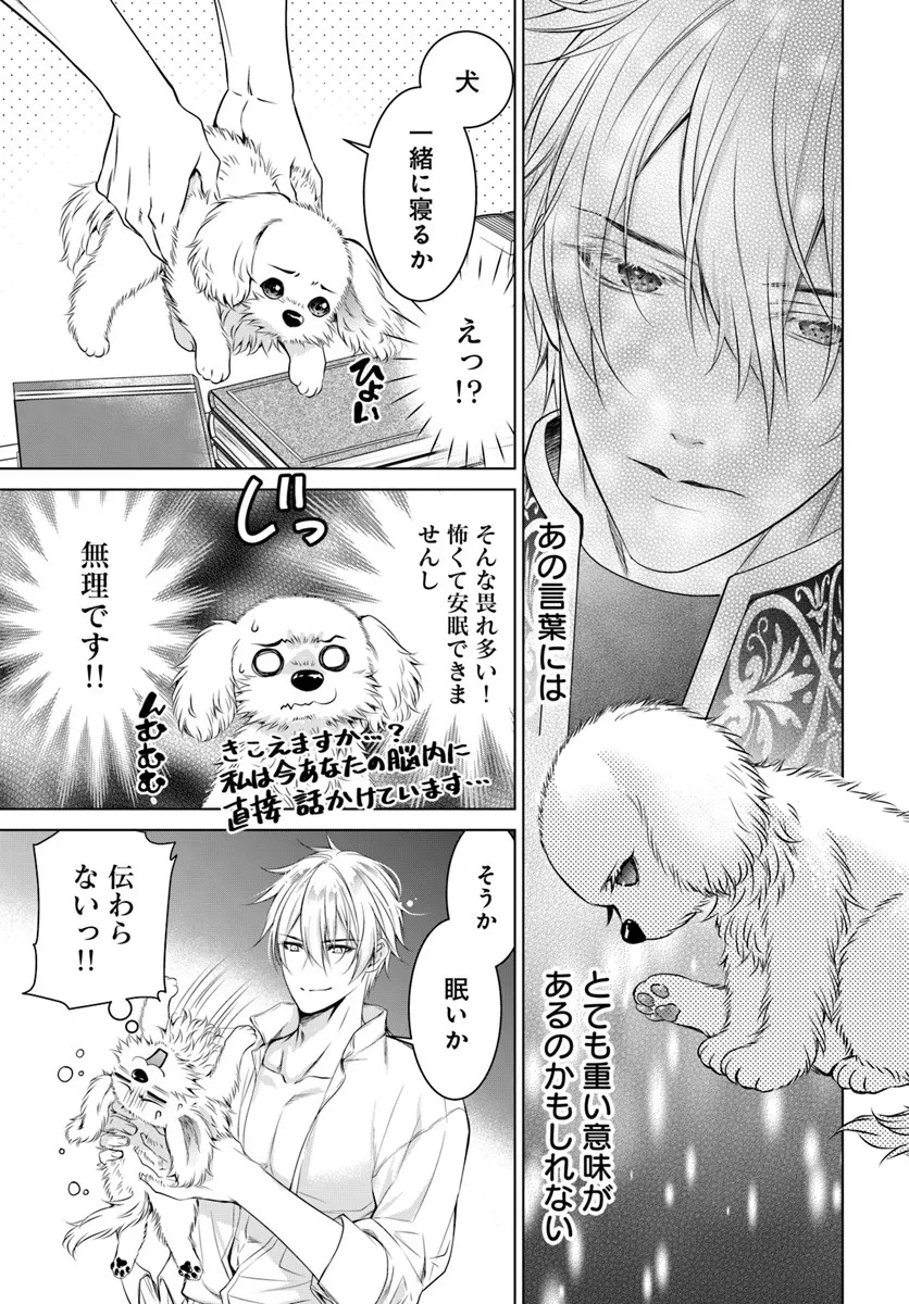 Kokuou Heika, Watashi wo Katte Kudasai! - Chapter 3 - Page 7