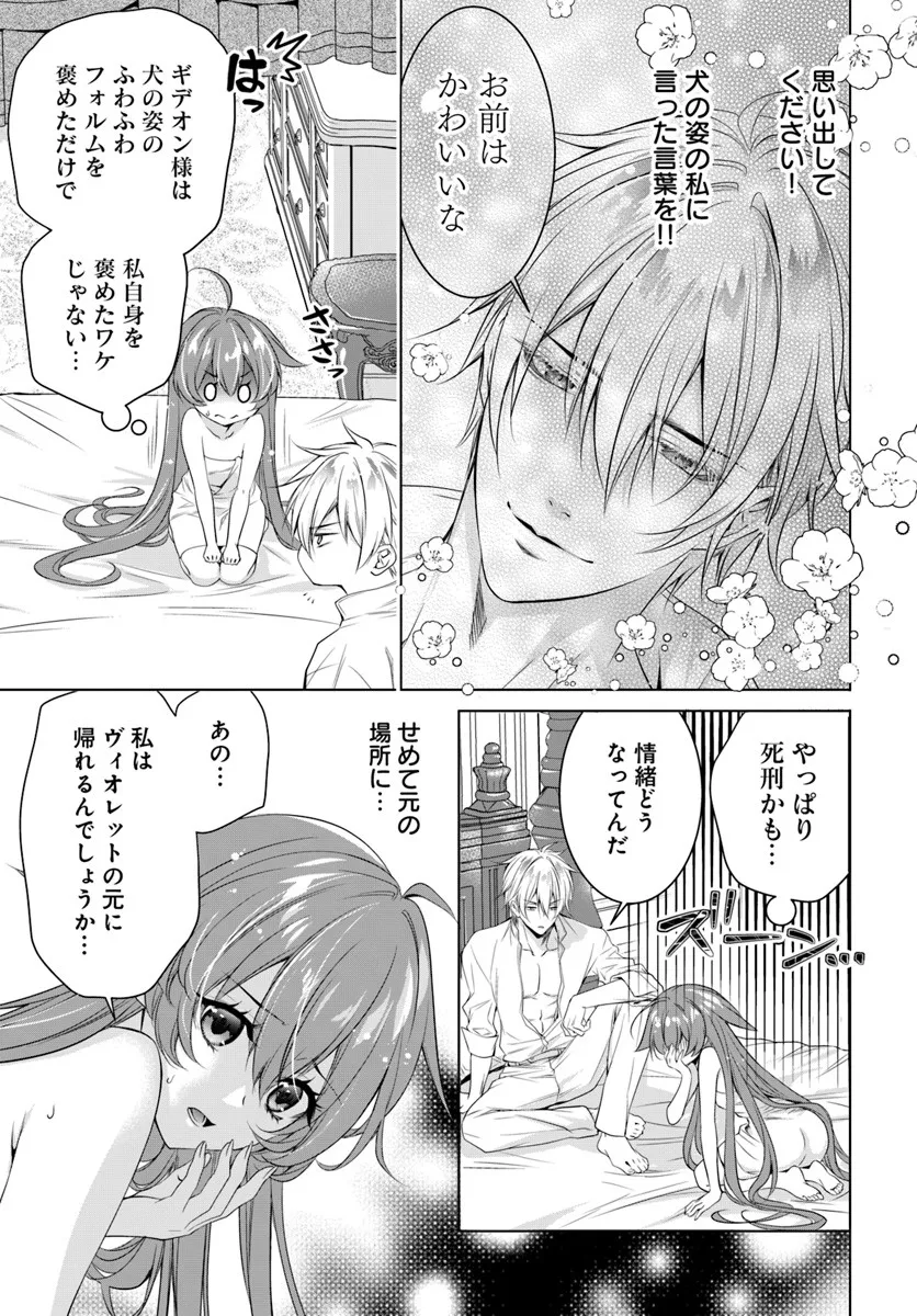 Kokuou Heika, Watashi wo Katte Kudasai! - Chapter 4 - Page 11
