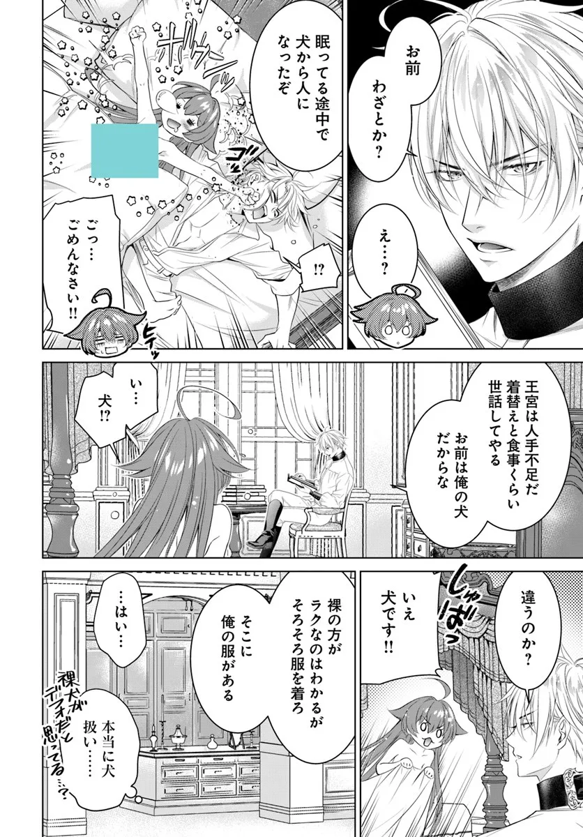 Kokuou Heika, Watashi wo Katte Kudasai! - Chapter 5 - Page 14