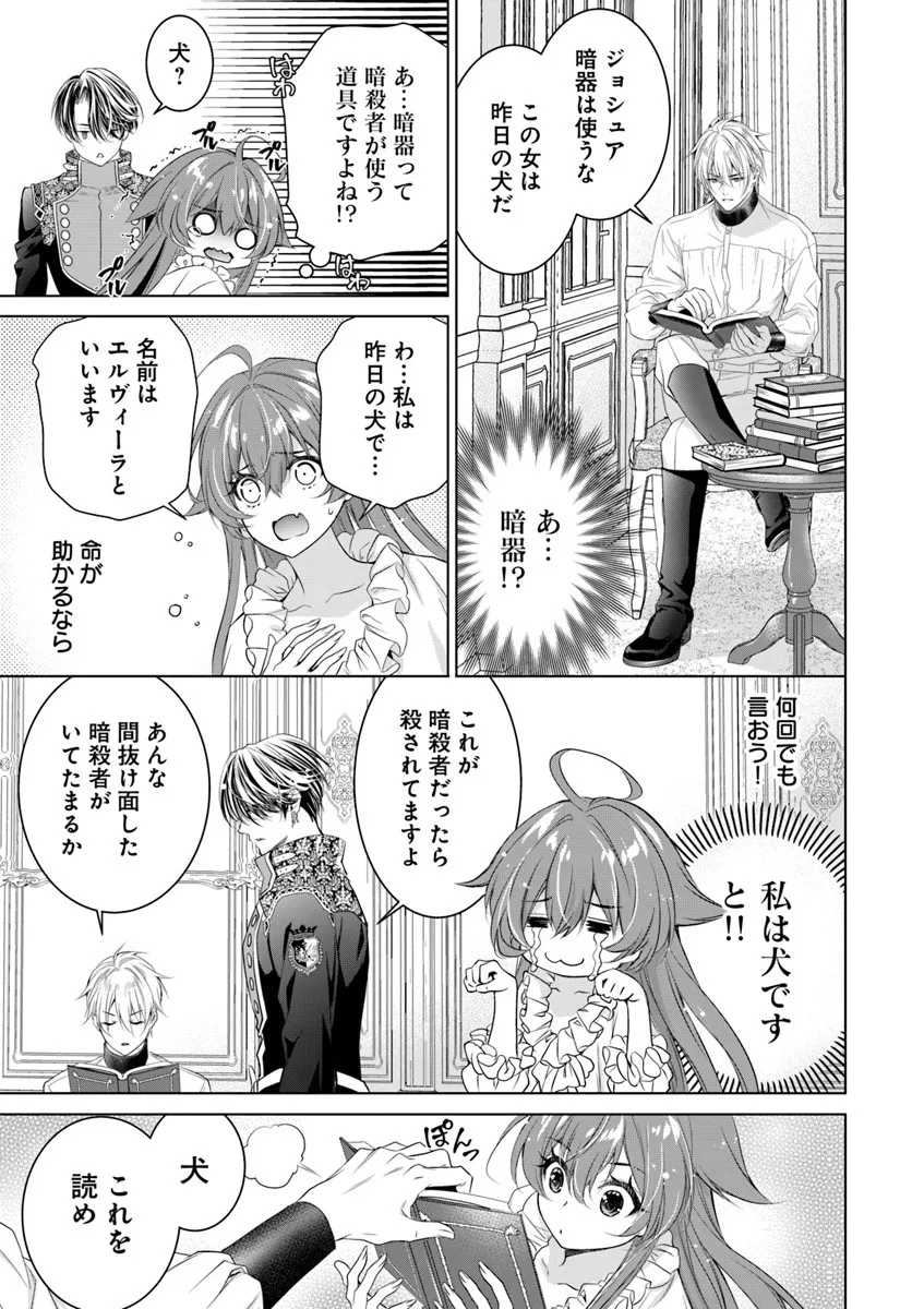 Kokuou Heika, Watashi wo Katte Kudasai! - Chapter 5 - Page 17