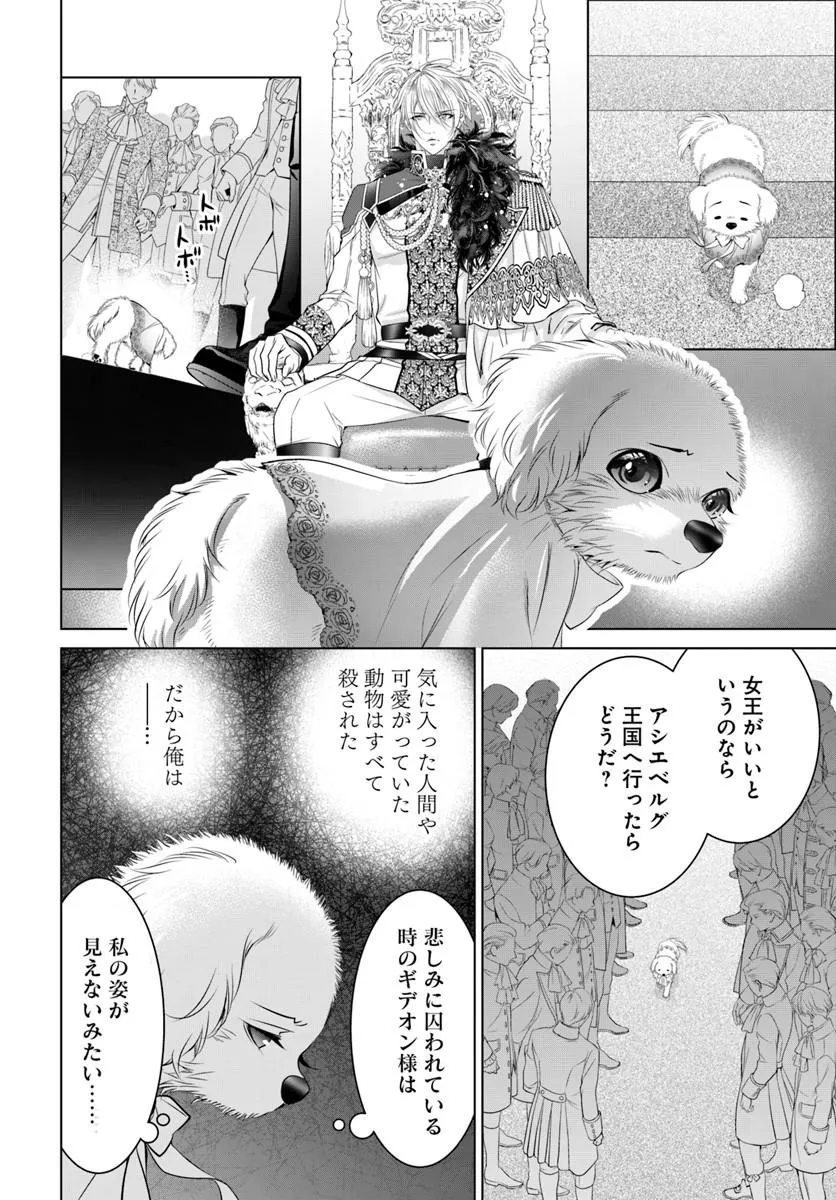 Kokuou Heika, Watashi wo Katte Kudasai! - Chapter 7 - Page 12