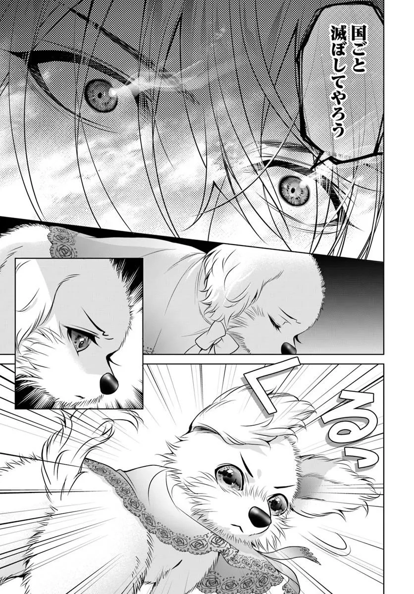 Kokuou Heika, Watashi wo Katte Kudasai! - Chapter 7 - Page 13