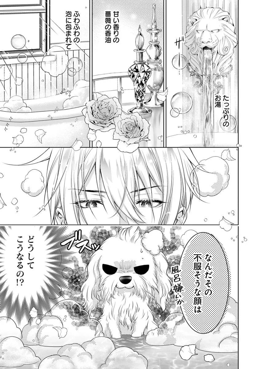 Kokuou Heika, Watashi wo Katte Kudasai! - Chapter 9.1 - Page 1