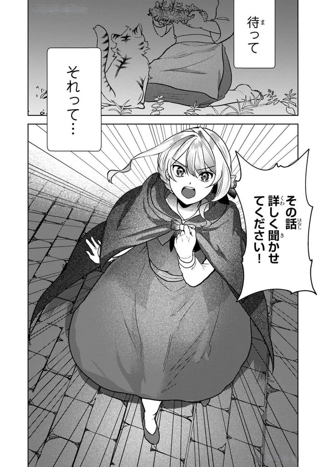 Konyaku Haki Shita wo Baka na Ouji wa Hottoite, Akuyaku Reijou wa Seirei no Mori de Shiawase ni Narimasu. - Chapter 10 - Page 22