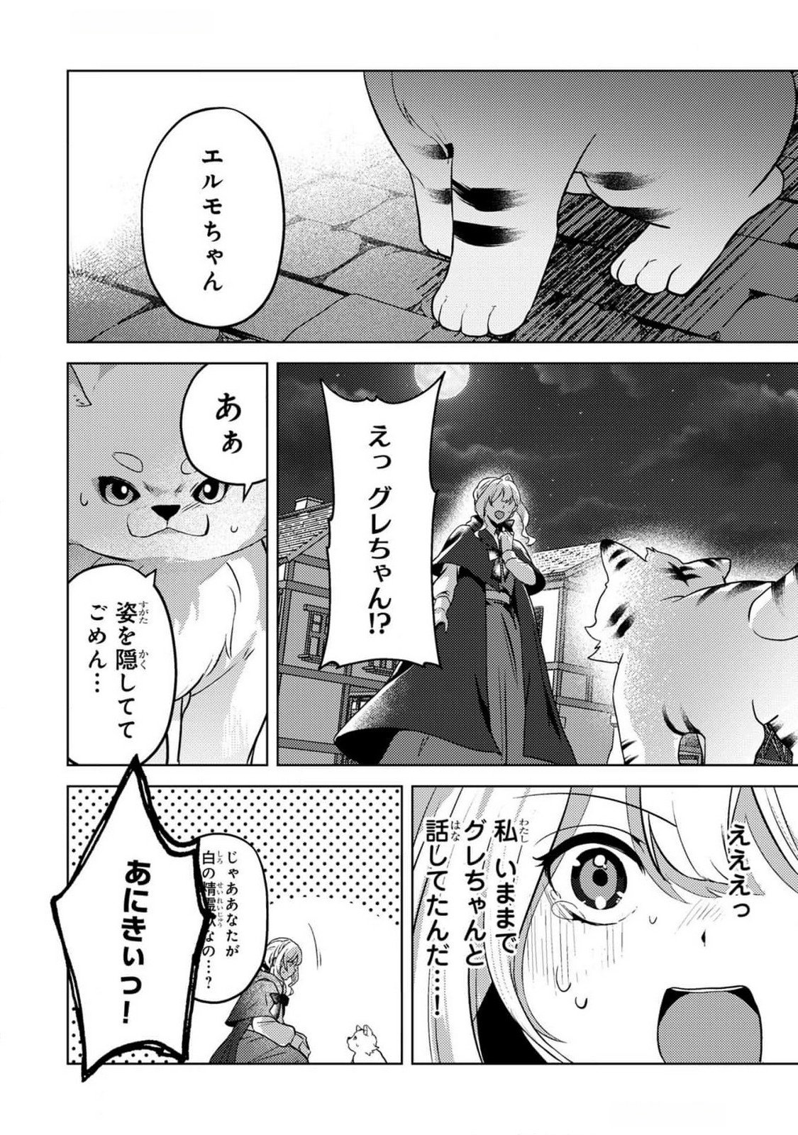 Konyaku Haki Shita wo Baka na Ouji wa Hottoite, Akuyaku Reijou wa Seirei no Mori de Shiawase ni Narimasu. - Chapter 11 - Page 14