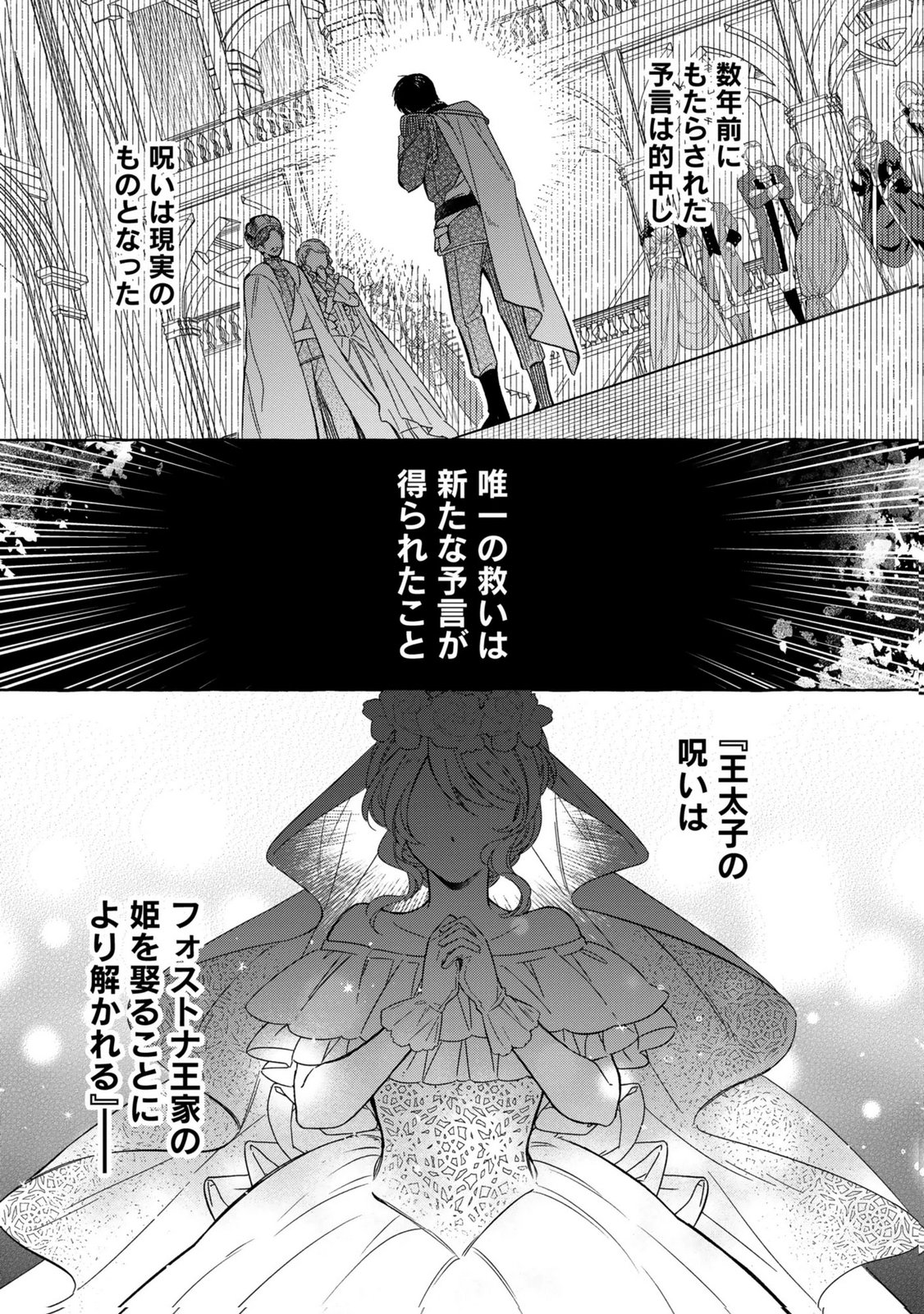 Konyaku Shita Risou no Ouji ga Norowareteimashita - Chapter 1 - Page 25