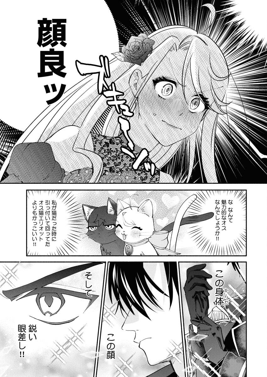 Konyakusha-sama ni wa Unmei no Heroine ga Arawaremasu ga, Zantei Konyaku Life wo Mankitsu shimasu! - Chapter 1 - Page 35