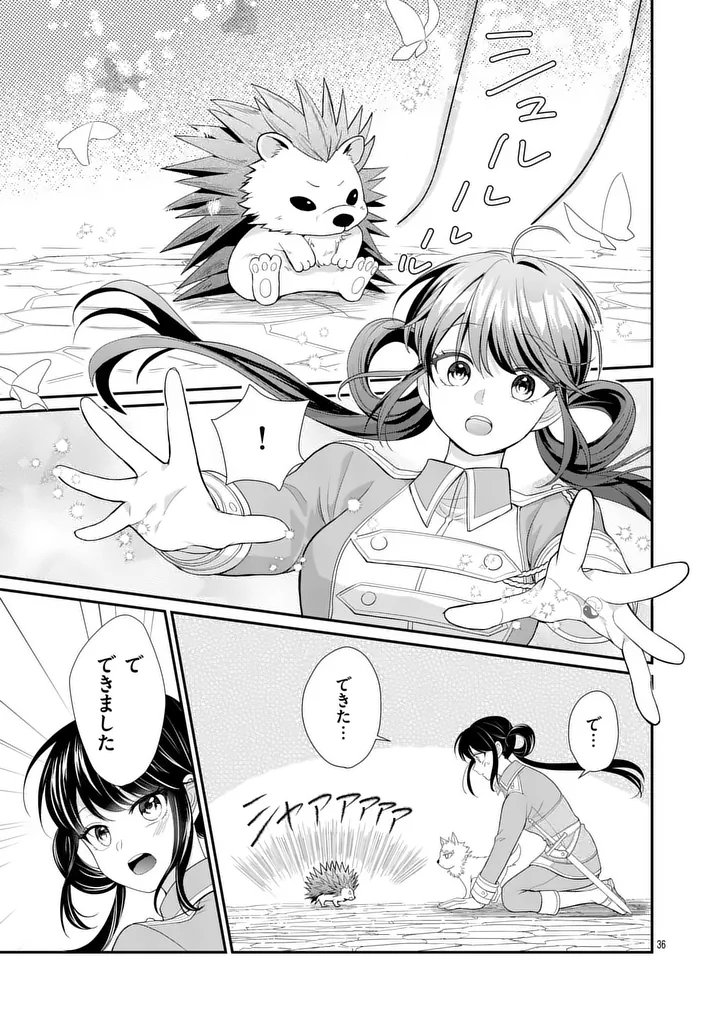 Kyuusei no Kishi Hime: Faran - Chapter 6.2 - Page 9