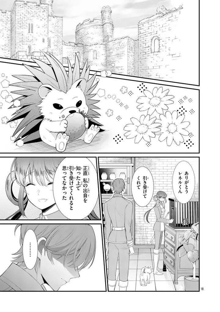 Kyuusei no Kishi Hime: Faran - Chapter 7.1 - Page 18