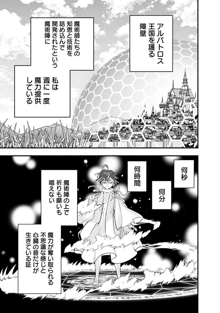 Maryokuryou Rekidai Saikyou na Tensei Seijo-sama no Gakuen Seikatsu wa Haran ni Michiafureteiru you desu - Chapter 1 - Page 23