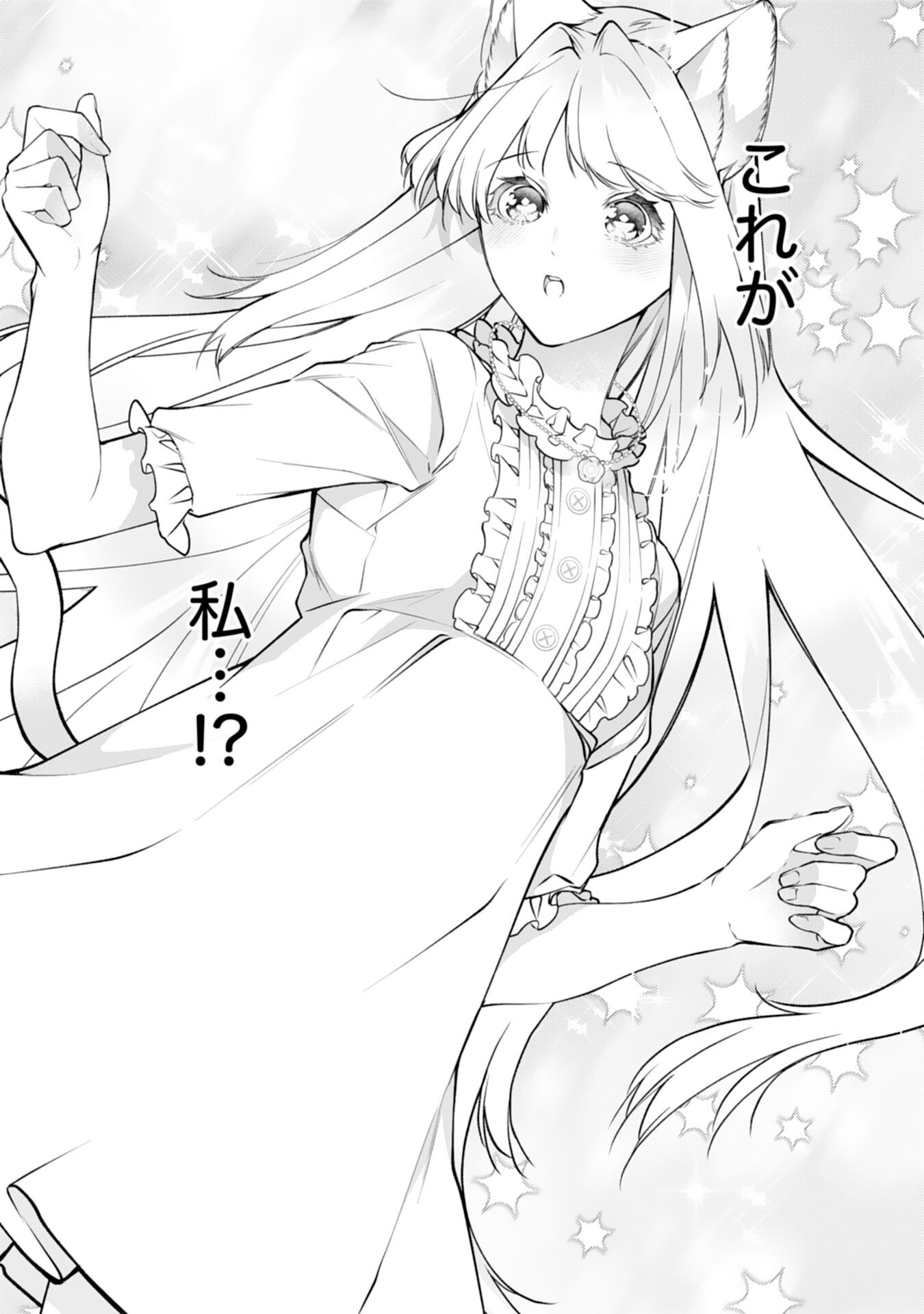 Neko Neko Youjo no Aijou Gohan - Isekai de Mofumofu-tachi ni Ryouri wo Tsukurimasu! - Chapter 18 - Page 14