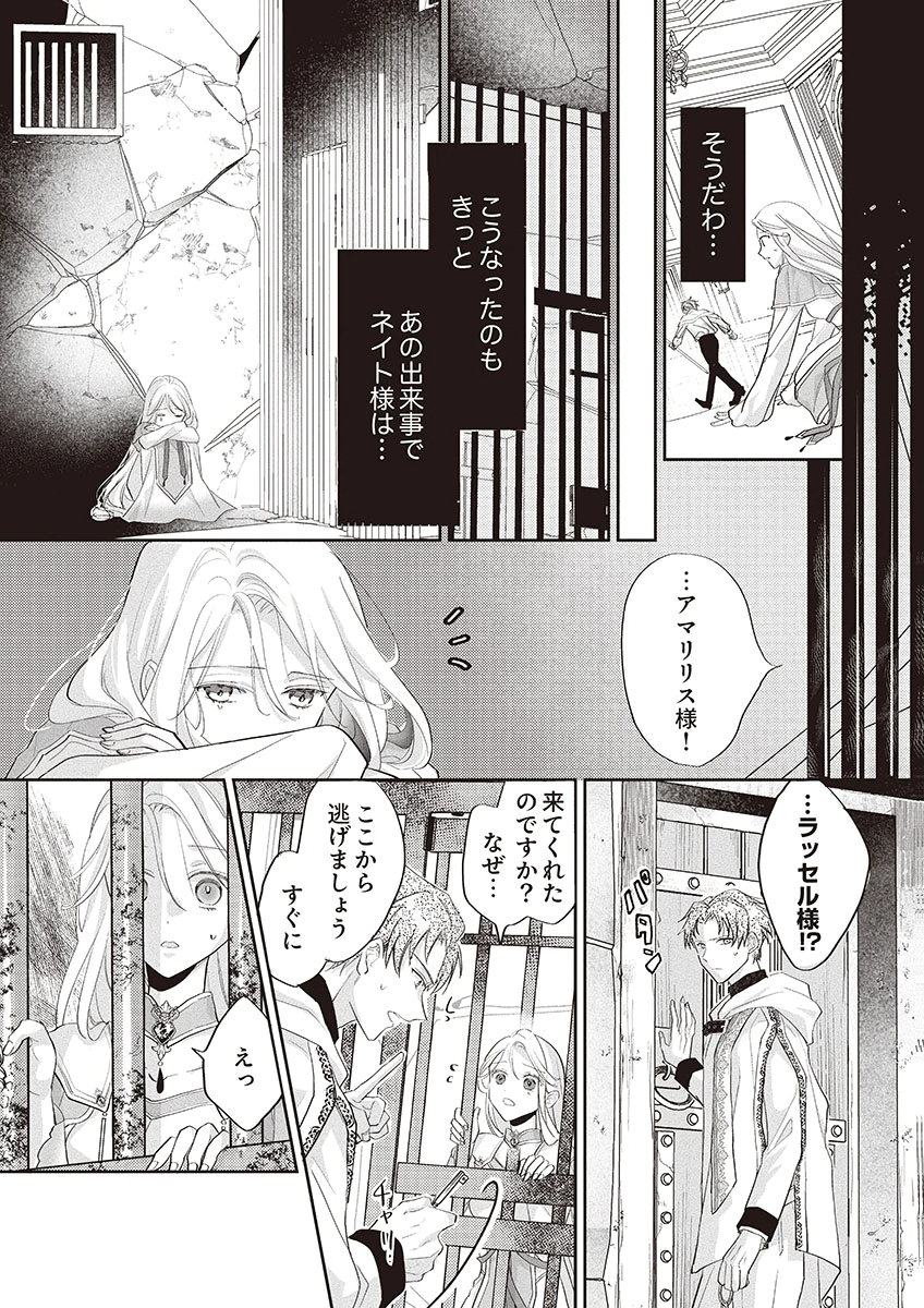 Nisemono da to Tekikoku ni Tsuihousaremashita ga, Douyara Honmono Seijo wa Watashi no You Desu - Chapter 1 - Page 26