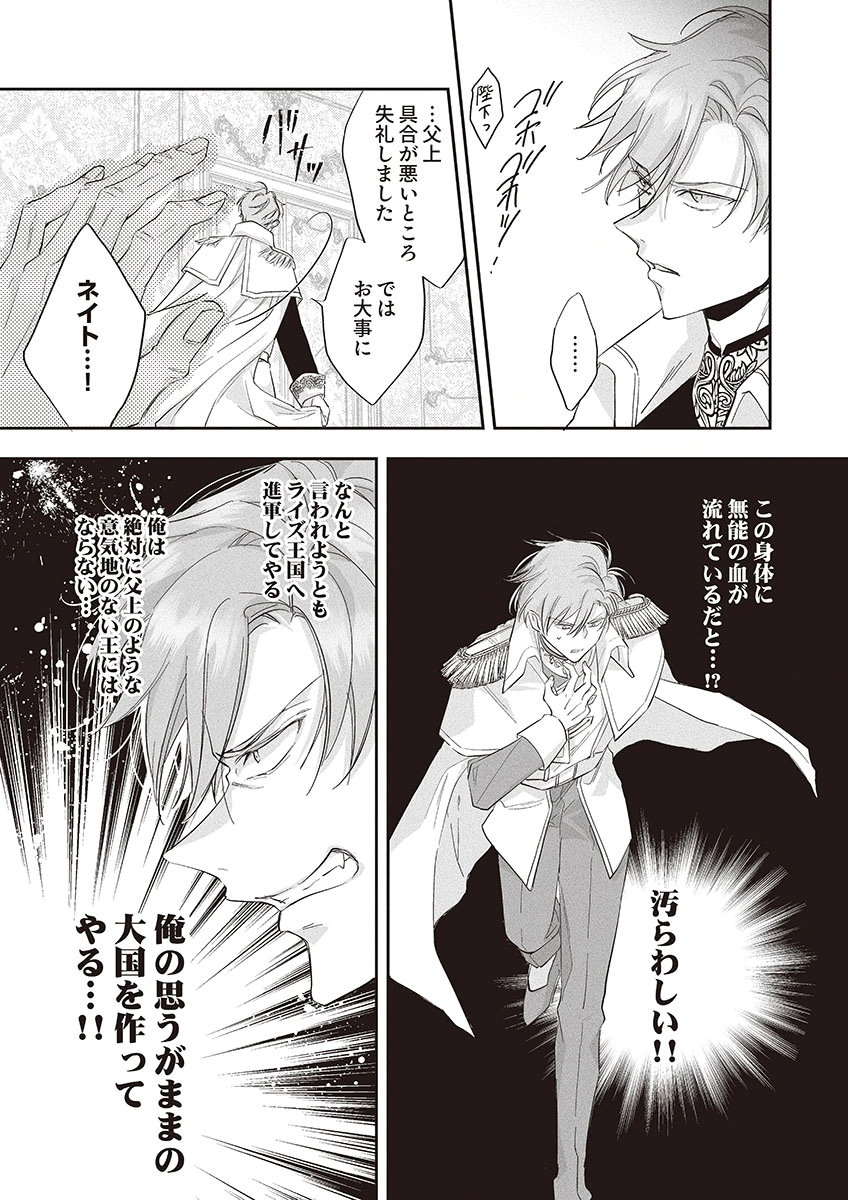 Nisemono da to Tekikoku ni Tsuihousaremashita ga, Douyara Honmono Seijo wa Watashi no You Desu - Chapter 3 - Page 22