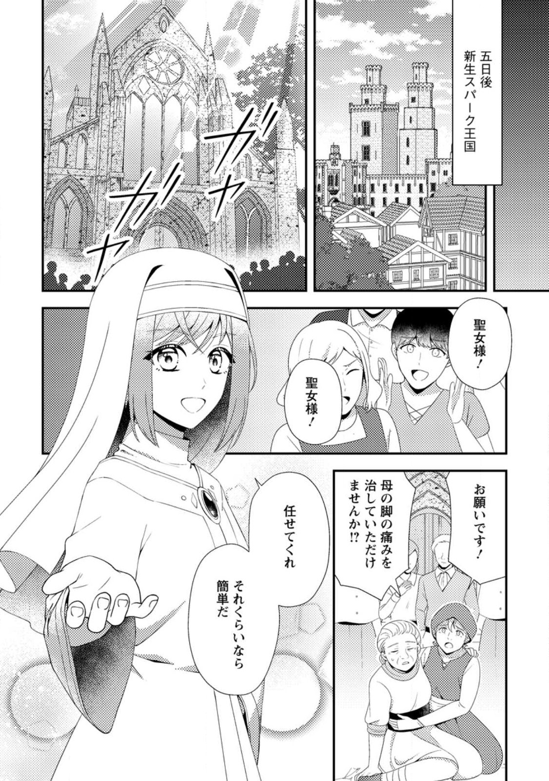 Nisemono ni Ubawareta Seijo no Chii, Nan to Shite mo Torikaesa... Nakute Ikka! - Chapter 17.3 - Page 2