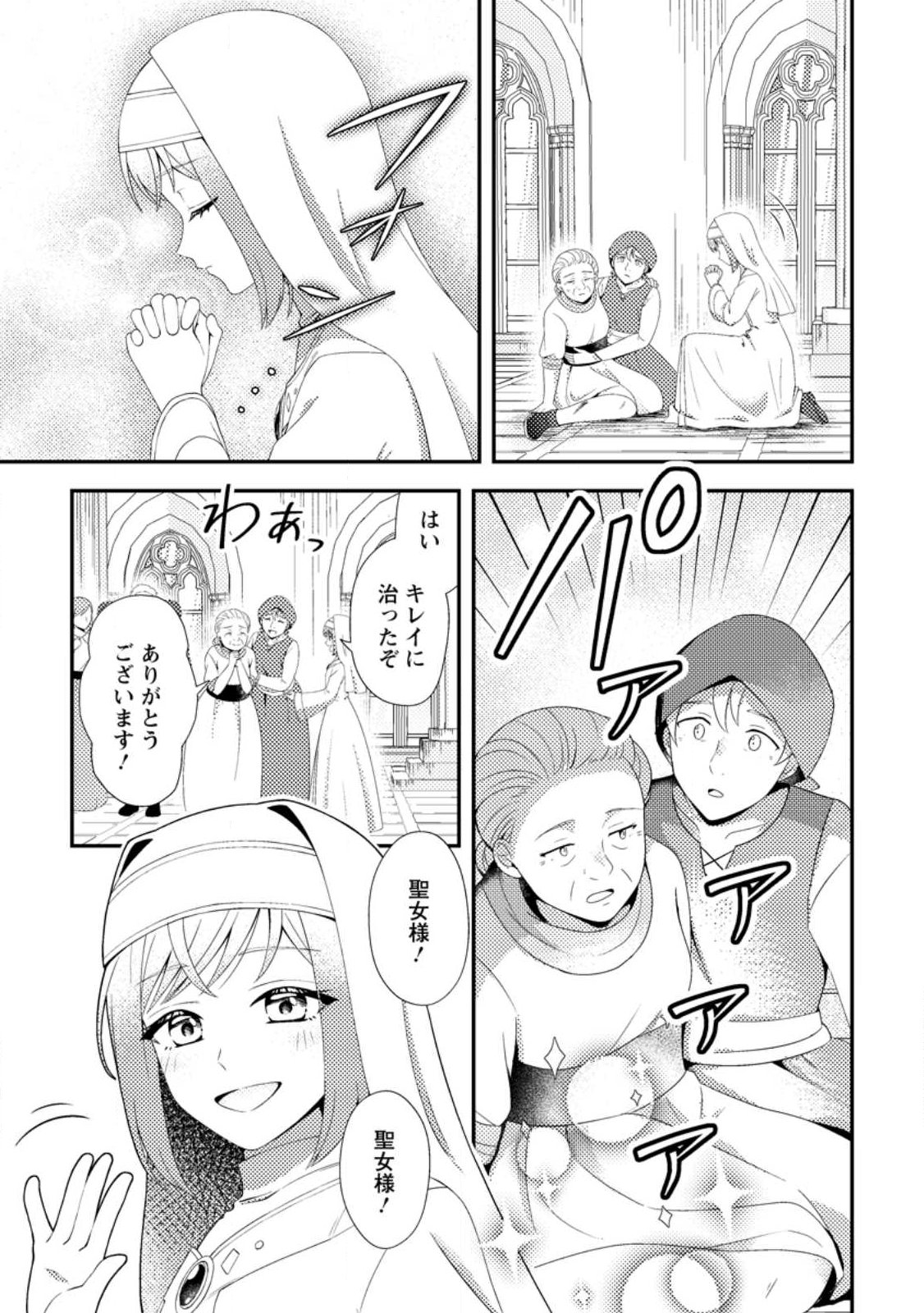Nisemono ni Ubawareta Seijo no Chii, Nan to Shite mo Torikaesa... Nakute Ikka! - Chapter 17.3 - Page 3