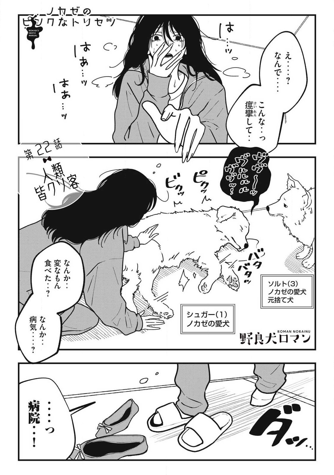 Nokaze no Pink na Torisetsu - Chapter 22 - Page 1