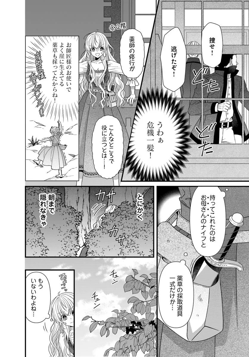 Oujo deshita ga Kossori Ryuu Kishidan no Senzoku Kusushi ni Narimashita! - Chapter 1 - Page 16