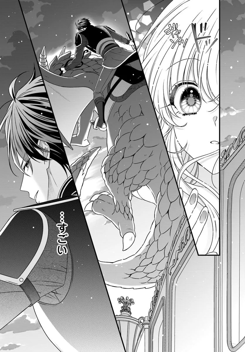 Oujo deshita ga Kossori Ryuu Kishidan no Senzoku Kusushi ni Narimashita! - Chapter 1 - Page 27