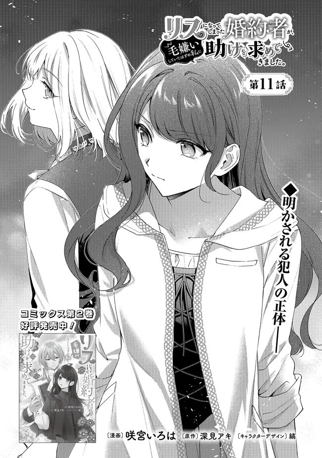 Risu ni Natte Shimatta Kon'yakusha ga, Kegirai Shiteita Hazu no Watashi ni Tasuke o Motomete Kimashita. - Chapter 11.1 - Page 1