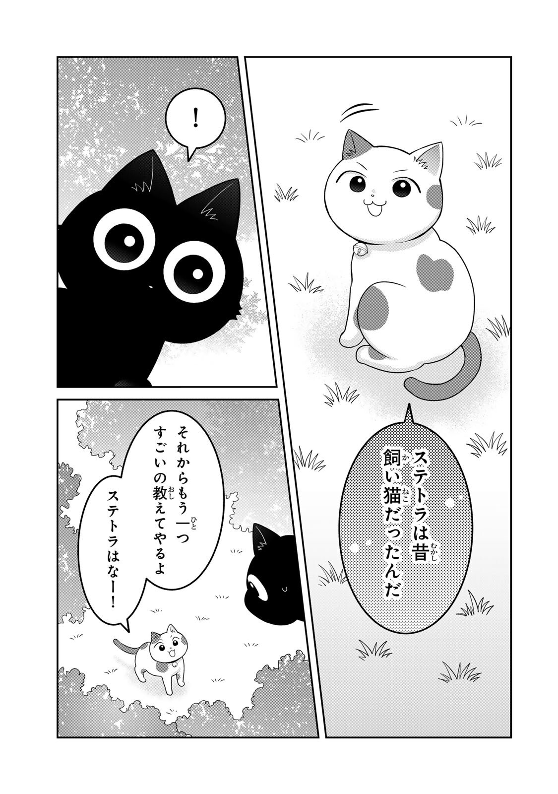 Rudolf to Ippaiattena - Chapter 6 - Page 17
