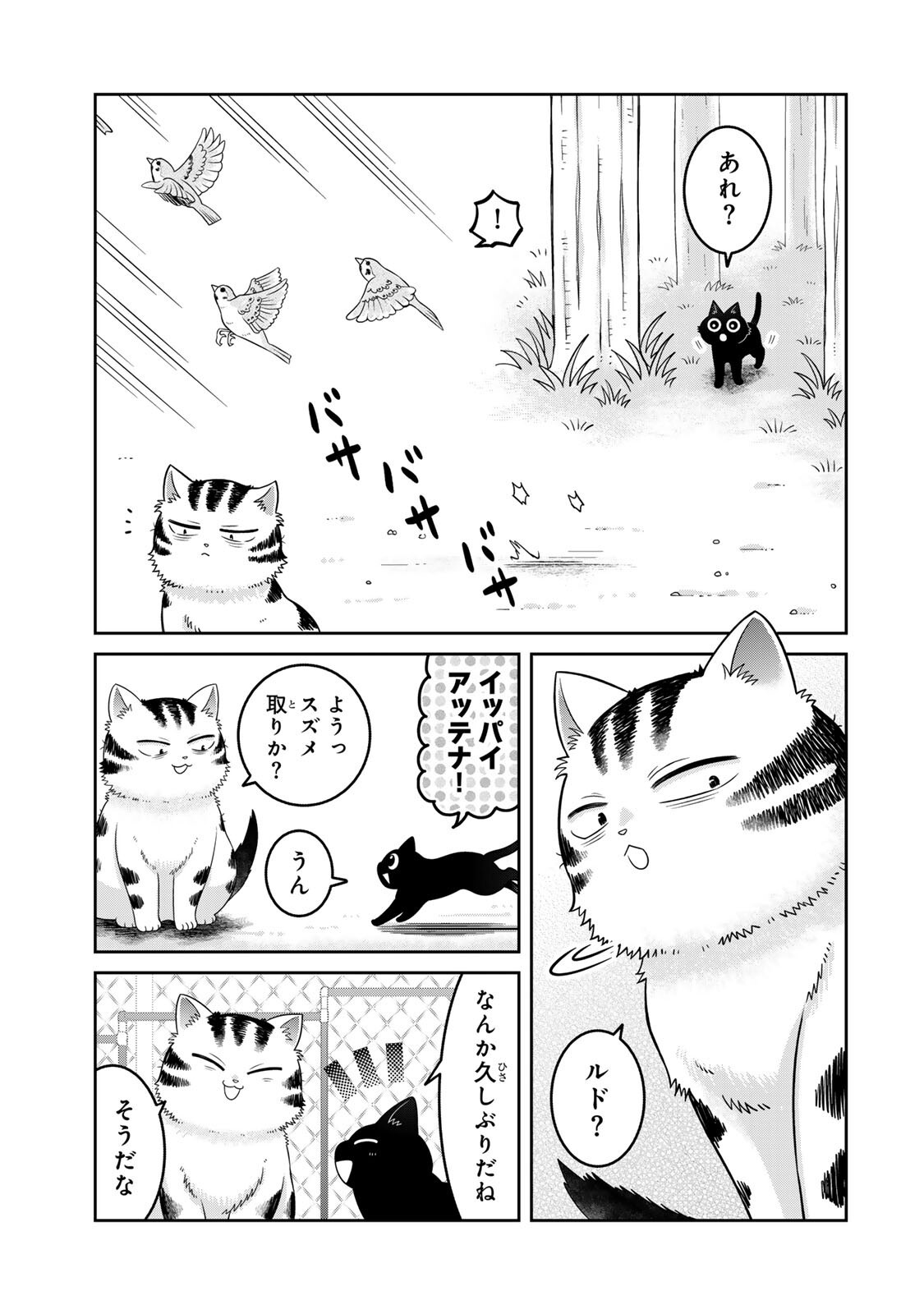 Rudolf to Ippaiattena - Chapter 7 - Page 5