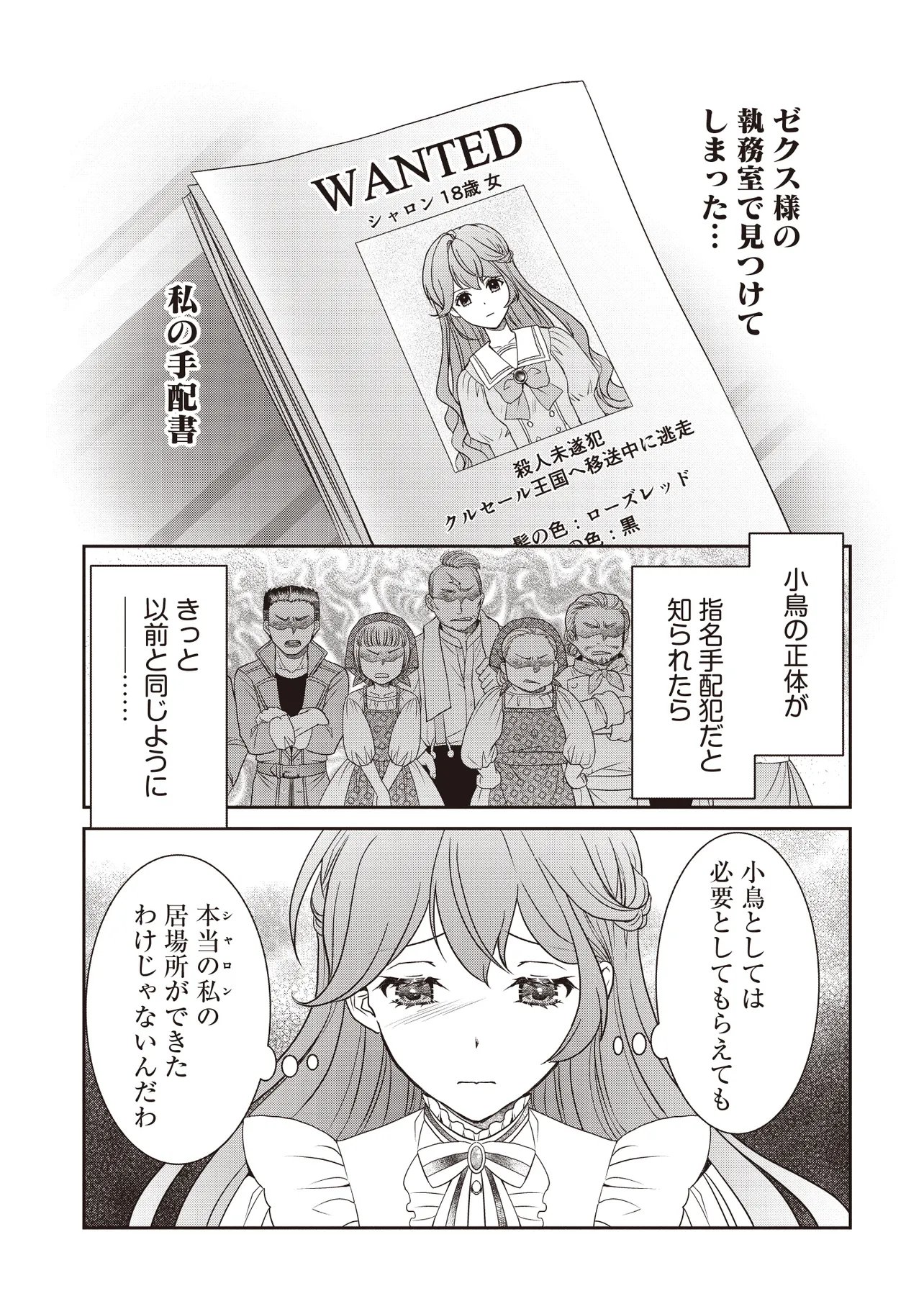 Saikyou Henkyou Haku ni Hirowaremashita, Kotori (Akujo?) desu - Chapter 5.2 - Page 12