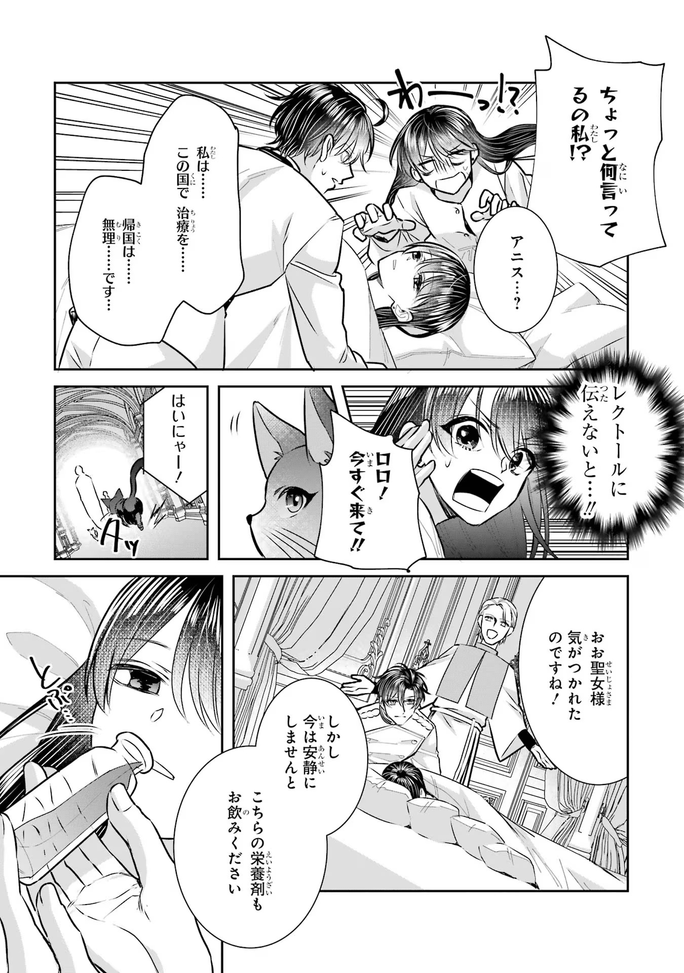 Seijo no hazu ga, Douyara Nottoraremashita - Chapter 31 - Page 27